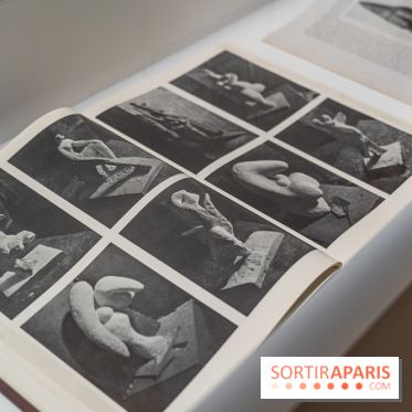 Picasso et la Préhistoire, les photos de l'exposition au Musée de l'Homme