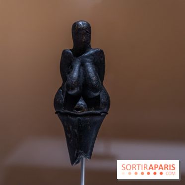 Picasso et la Préhistoire, les photos de l'exposition au Musée de l'Homme