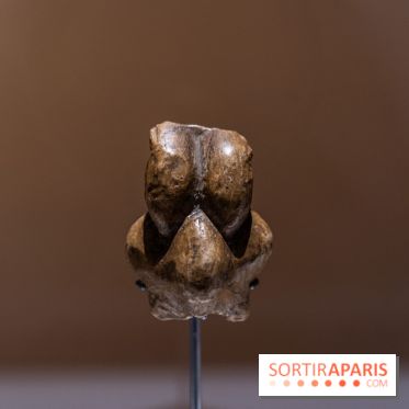 Picasso et la Préhistoire, les photos de l'exposition au Musée de l'Homme