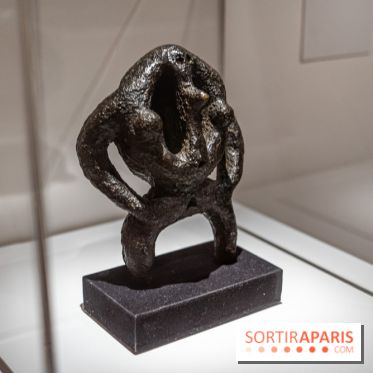 Picasso et la Préhistoire, les photos de l'exposition au Musée de l'Homme