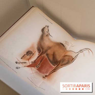 Picasso et la Préhistoire, les photos de l'exposition au Musée de l'Homme