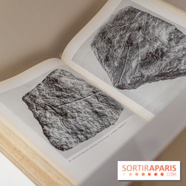 Picasso et la Préhistoire, les photos de l'exposition au Musée de l'Homme