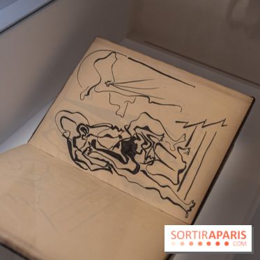 Picasso et la Préhistoire, les photos de l'exposition au Musée de l'Homme