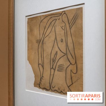 Picasso et la Préhistoire, les photos de l'exposition au Musée de l'Homme