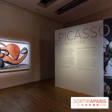 Picasso et la Préhistoire, les photos de l'exposition au Musée de l'Homme