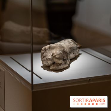 Picasso et la Préhistoire, les photos de l'exposition au Musée de l'Homme