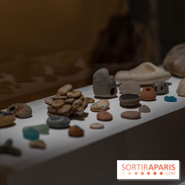 Picasso et la Préhistoire, les photos de l'exposition au Musée de l'Homme