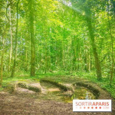 Le Hangar Y à Meudon, nos photos - forêt 