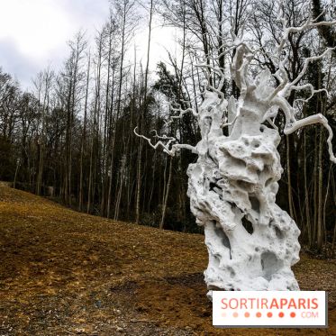 Le Hangar Y à Meudon, nos photos - IMG 8867