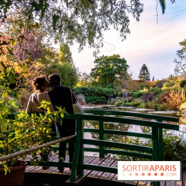 Saint-Valentin visuel saint Valentin - couple