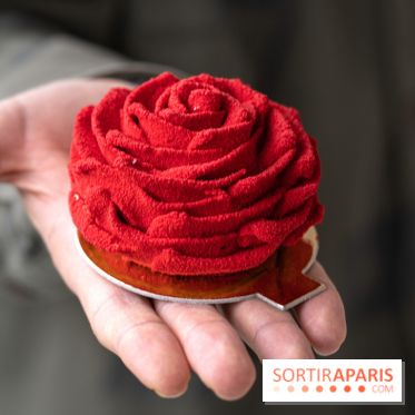 Saint-Valentin visuel saint Valentin 