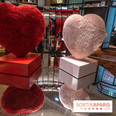 Saint-Valentin visuel saint Valentin  -  A7C2597