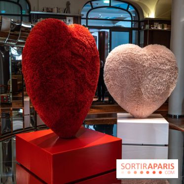 Saint-Valentin visuel saint Valentin  -  A7C2591