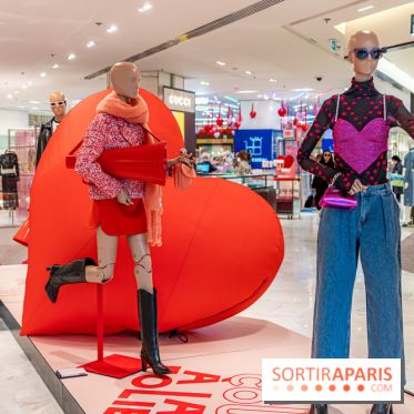 Saint-Valentin visuel saint Valentin  -  A7C2496