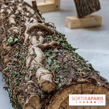Exposition Avant l'orage à la Bourse de Commerce - Pinault Collection - urgence climatique