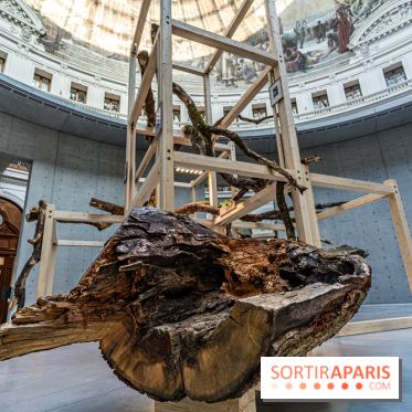 Exposition Avant l'orage à la Bourse de Commerce - Pinault Collection - urgence climatique