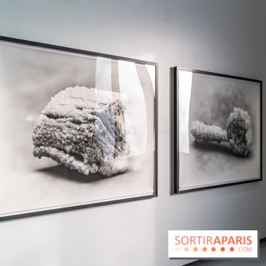 Exposition Avant l'orage à la Bourse de Commerce - Pinault Collection - urgence climatique