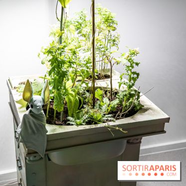 Exposition Avant l'orage à la Bourse de Commerce - Pinault Collection - urgence climatique