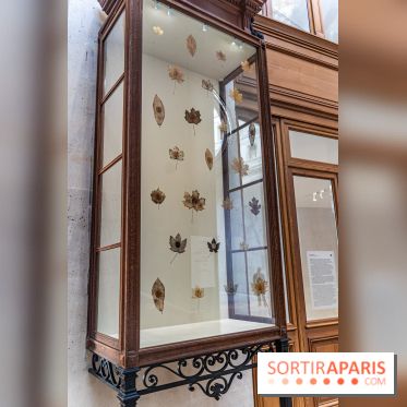 Exposition Avant l'orage à la Bourse de Commerce - Pinault Collection - urgence climatique