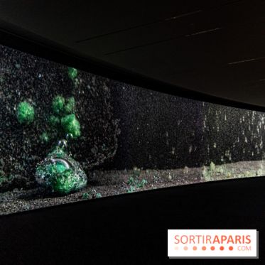 Exposition Avant l'orage à la Bourse de Commerce - Pinault Collection - urgence climatique