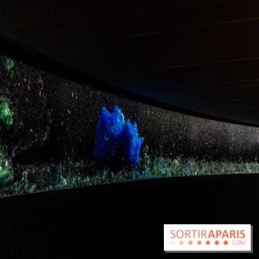 Exposition Avant l'orage à la Bourse de Commerce - Pinault Collection - urgence climatique