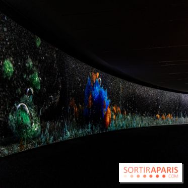 Exposition Avant l'orage à la Bourse de Commerce - Pinault Collection - urgence climatique