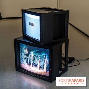 Exposition Avant l'orage à la Bourse de Commerce - Pinault Collection - urgence climatique