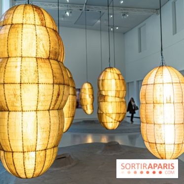 Exposition Avant l'orage à la Bourse de Commerce - Pinault Collection - urgence climatique