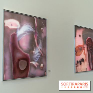 Exposition Avant l'orage à la Bourse de Commerce - Pinault Collection - urgence climatique