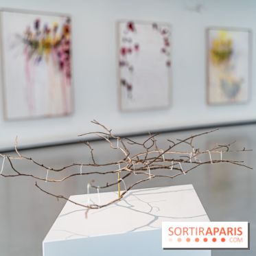 Exposition Avant l'orage à la Bourse de Commerce - Pinault Collection - urgence climatique