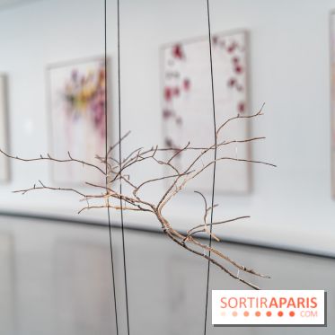 Exposition Avant l'orage à la Bourse de Commerce - Pinault Collection - urgence climatique