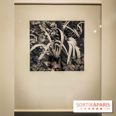 Exposition Paul Strand ou l'équilibre des forces, un voyage en photos à la Fondation HCB - IMG20230213152919