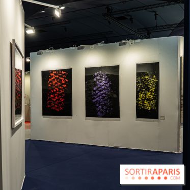 Art Capital 2023 au Grand Palais Ephémère - photos -  A7C3032