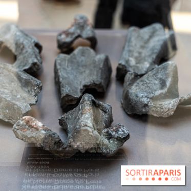 Exposition Notre-Dame de Paris - des bâtisseurs aux restaurateurs - Cité de l'Architecture -  A7C2741