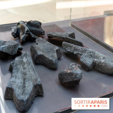 Exposition Notre-Dame de Paris - des bâtisseurs aux restaurateurs - Cité de l'Architecture -  A7C2743