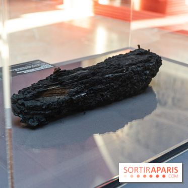 Exposition Notre-Dame de Paris - des bâtisseurs aux restaurateurs - Cité de l'Architecture