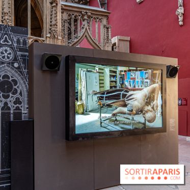 Exposition Notre-Dame de Paris - des bâtisseurs aux restaurateurs - Cité de l'Architecture -  A7C2855