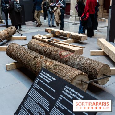 Exposition Notre-Dame de Paris - des bâtisseurs aux restaurateurs - Cité de l'Architecture -  A7C2857