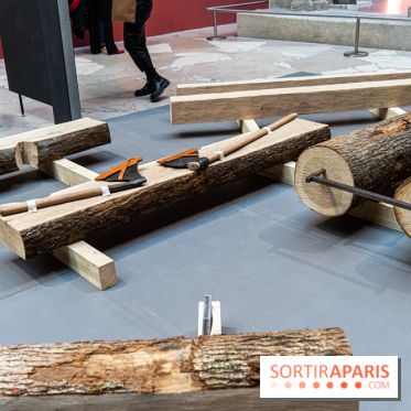 Exposition Notre-Dame de Paris - des bâtisseurs aux restaurateurs - Cité de l'Architecture -  A7C2858