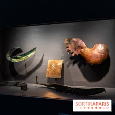 Exposition Notre-Dame de Paris - des bâtisseurs aux restaurateurs - Cité de l'Architecture -  A7C2869
