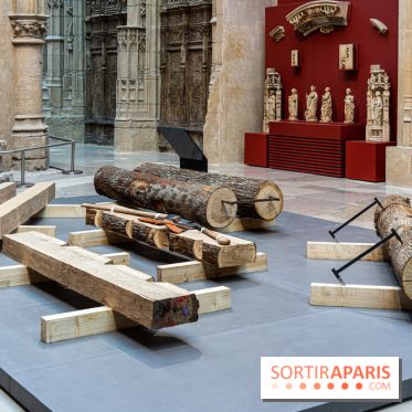 Exposition Notre-Dame de Paris - des bâtisseurs aux restaurateurs - Cité de l'Architecture