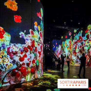 Chagall, Paris-New York, l'exposition immersive inédite de l'Atelier des Lumières - photos - IMG20230216095342