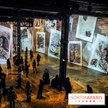 Chagall, Paris-New York, l'exposition immersive inédite de l'Atelier des Lumières - photos - IMG20230216094530