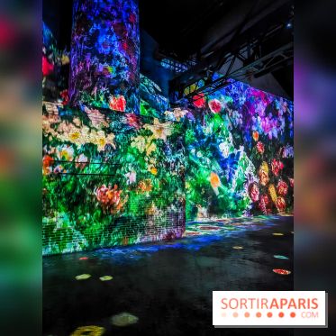 Chagall, Paris-New York, l'exposition immersive inédite de l'Atelier des Lumières - photos - IMG20230216095356