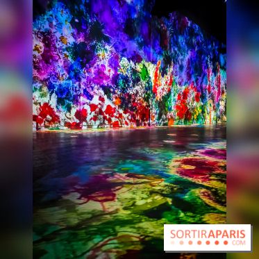 Chagall, Paris-New York, l'exposition immersive inédite de l'Atelier des Lumières - photos - IMG20230216095420