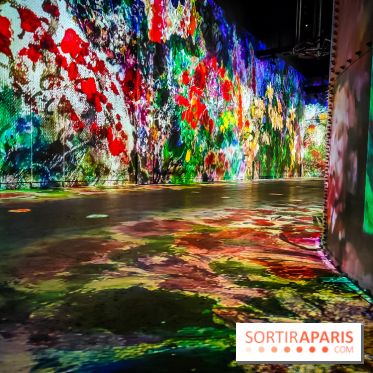 Chagall, Paris-New York, l'exposition immersive inédite de l'Atelier des Lumières - photos - IMG20230216095429