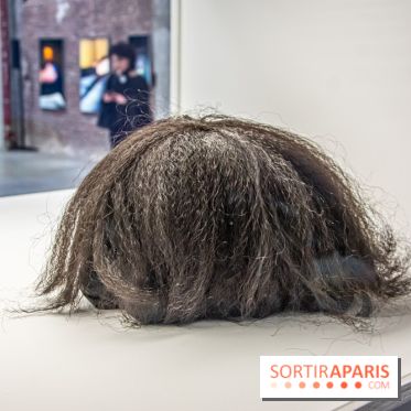 Exposition Exposé.es Palais de Tokyo Sida