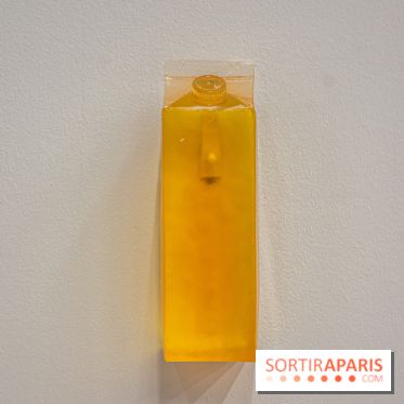 Exposition Exposé.es Palais de Tokyo Sida