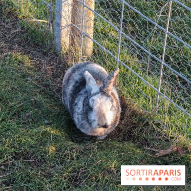 Fermes de Gally - Saint Denis - 7B906E6E 980C 475A 9B78 F3CD0CA64222