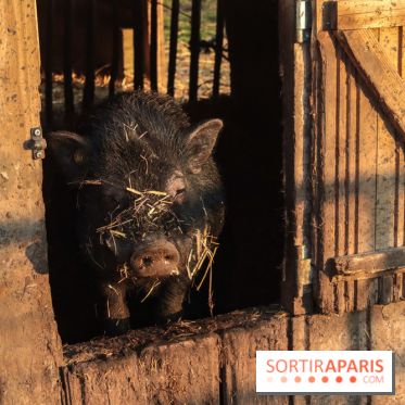 Fermes de Gally - Saint Denis - 582C69D9 6BE3 467E 8262 FB1C0E2DA12B